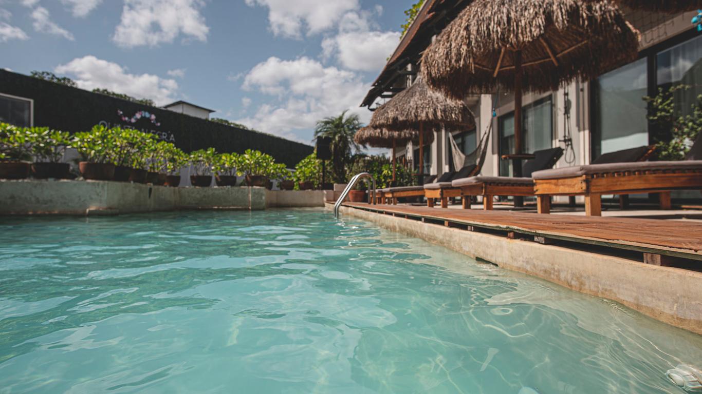 Caribbean Paradise Boutique Hotel S 61. Playa del Carmen Hotel