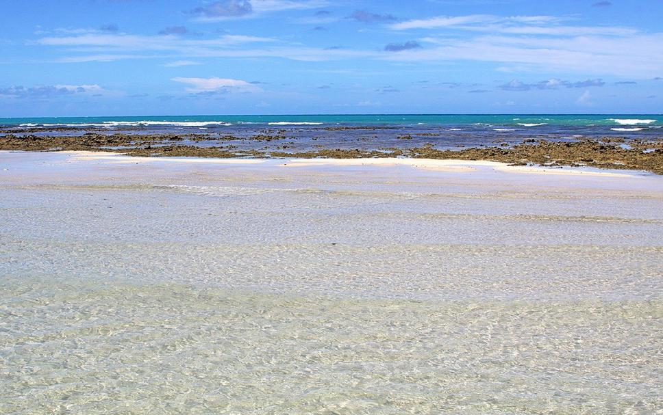 Beach Photo